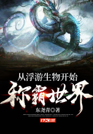 东青奇遇小说