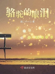 骆驼的眼泪txt小说免费阅读全文