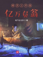 精灵之开局亿万负翁小说全本下载