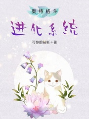 奥特格斗进化系统txt小说免费阅读无弹窗