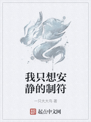 我只想安静的加点 小说