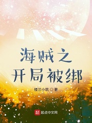 人在海贼开局实力排行榜