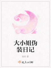 伪装规则日记
