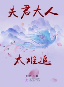 夫君大人太难追小说阅读免费