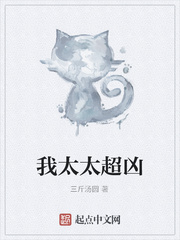 我的太太才是大佬 小说