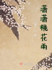 潇潇雨下的作品百度云