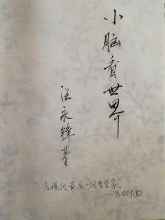 小脑研究
