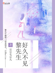 黎先生好久不见小说全本阅读