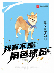 我真不是角色球员作者:易文三不知