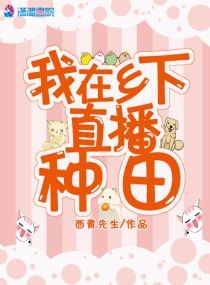 我在乡下开直播陈