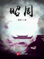 岁月有昭免费阅读