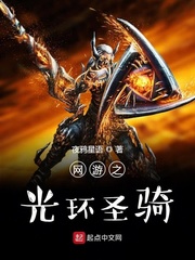 网游之光环圣骑小说txt免费阅读