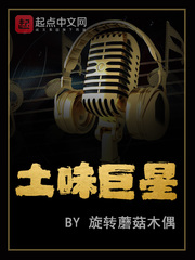 和土味巨星一样的小说