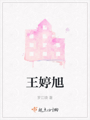 王婷bim