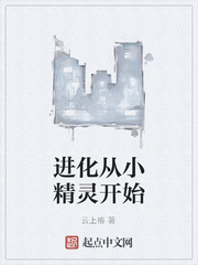 进化从小精灵开始小说阅读免费下载