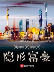 我的老爸是隐形富豪电视剧