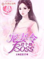宠妻如令全本免费阅读