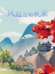 风起时gl
