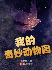 我的奇妙男友2原著在线阅读