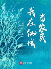 我在仙域当农民为什么不更新了