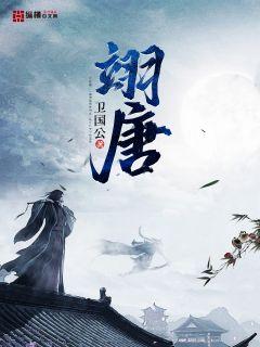 唐翊宸名字寓意
