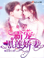 霸宠军婚连翘小说