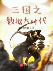三国之升级系统小说