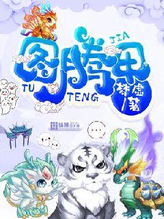 图腾totem小说txt