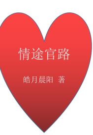 官路红途小说
