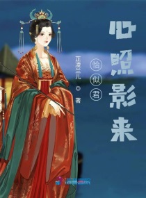 恰似西来在线阅读