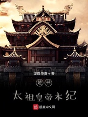 煌华 小说