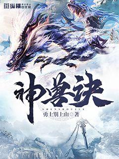 兽神诀全集