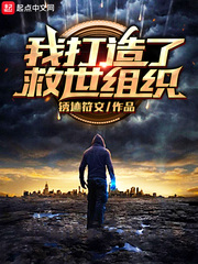 我打造了救世组织评价