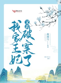 我家王妃又去破案了小说全集免费观看