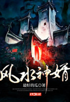 风水神术小说