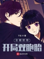 全能奶爸:开局双胞胎小说全本下载