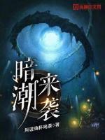 暗潮来袭txt小说免费阅读百度云