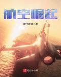 航空崛起txt小说免费阅读全文