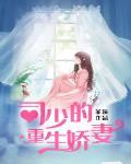 司少的重生妻温