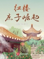 红楼之庶子番外