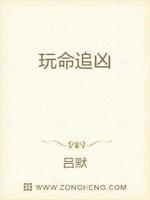 玩命追凶小说阅读免费下载