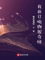 我的召唤物很奇怪小说免费观看