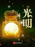 光明!小说在线阅读全文