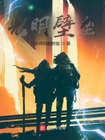 光明壁垒小说TXT下载