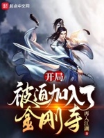 开局被迫加入了金刚寺小说免费阅读