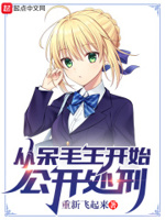 从呆毛王开始公开处刑行的小说