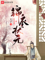 嫁状元全文免费阅读