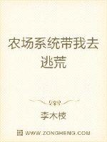 农场系统流