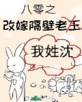 八零之改嫁隔壁老王小说全集免费观看