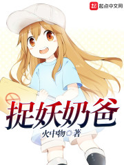 奶爸小说TXT免费下载